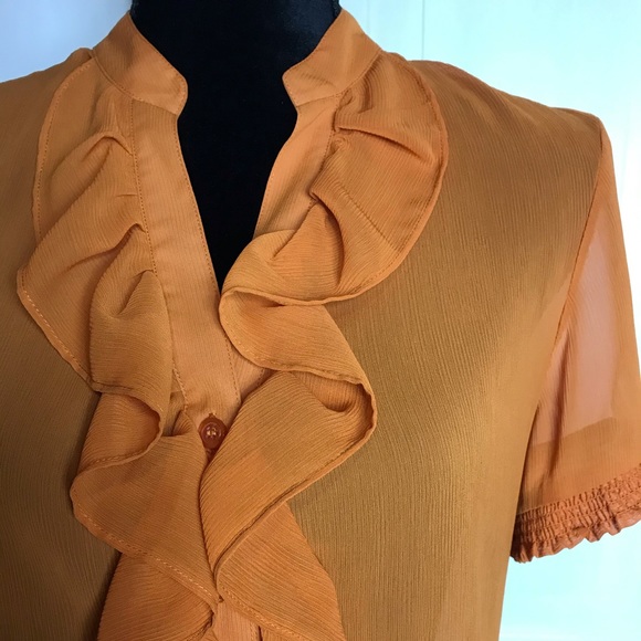 Burnt Orange Ruffled Blouse - Picture 6 of 6